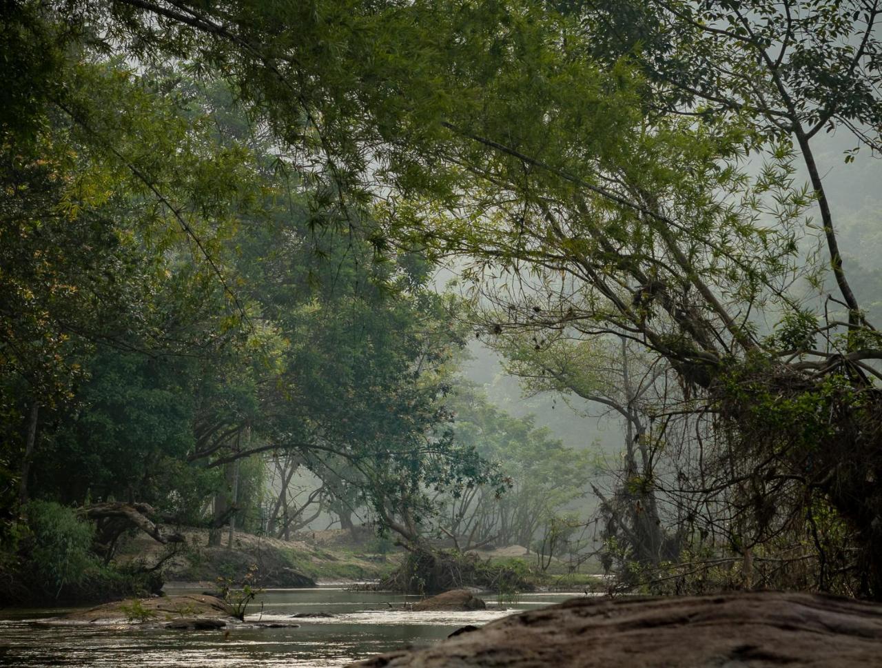 Quiet By The River- Cgh Earth Thodakayam Экстерьер фото