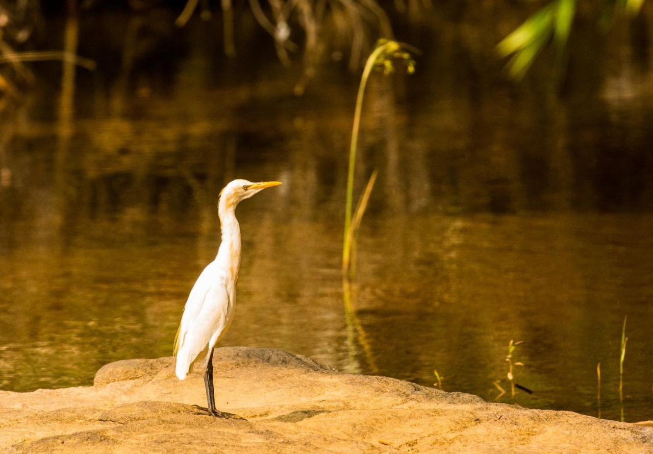 Quiet By The River- Cgh Earth Thodakayam Экстерьер фото